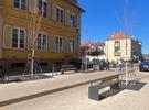 Koenigstraße Quelle - Stadt Landau in der Pfalz